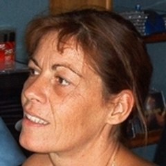 ameivlys