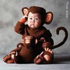 cutulandia