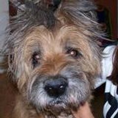 binxou13