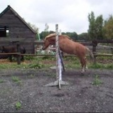 lenahaha