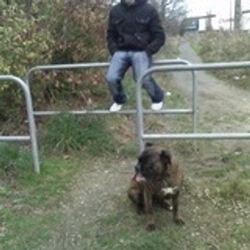 Florian