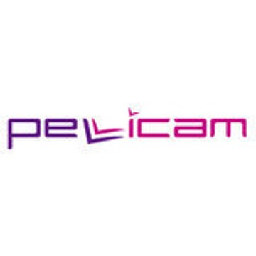 webmaster Pellicam