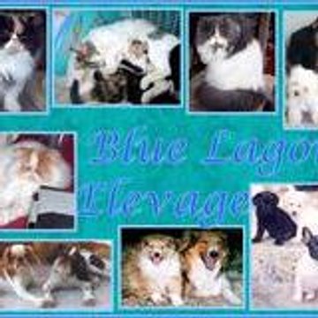 BLUE LAGONS