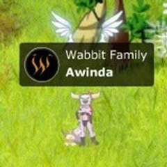 awinda
