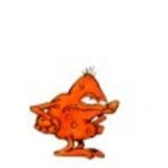 Morphy49