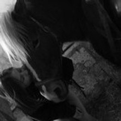 Cavalieredu26
