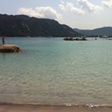 PiscaPisca