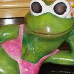 THE-PINK-FROG