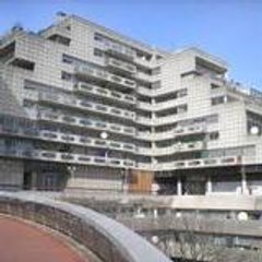 LA DEFENSE DES DAMIERS