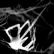 Les_Films_Profiteroles