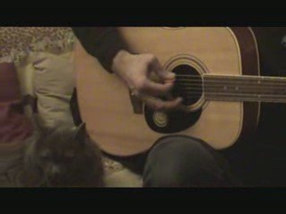 Soirée Guitare avec Benoit et le chat