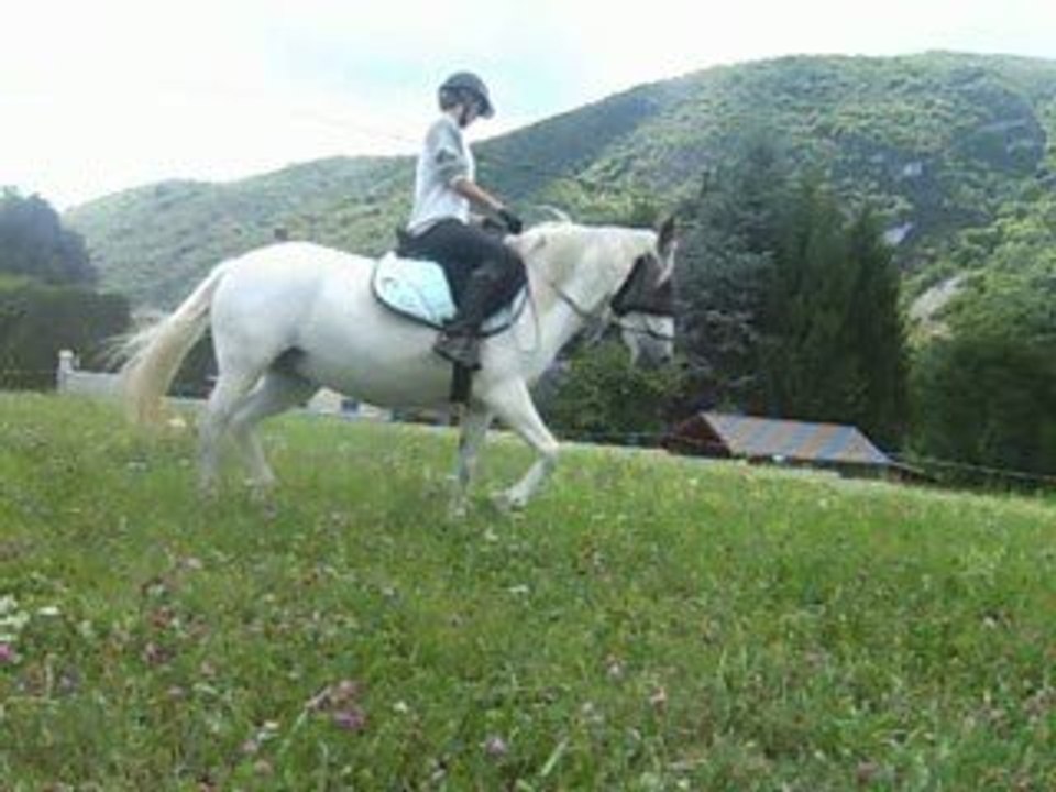 orelle 10-07-09