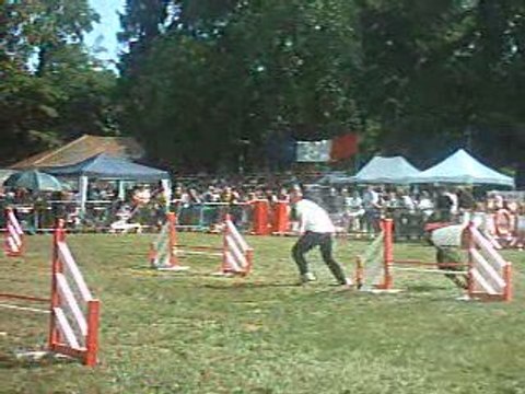 Baika Vidéos Finale GPF Cibeins 4-5 juillet 2009 019