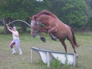 loulou cross 9 juillet 2009