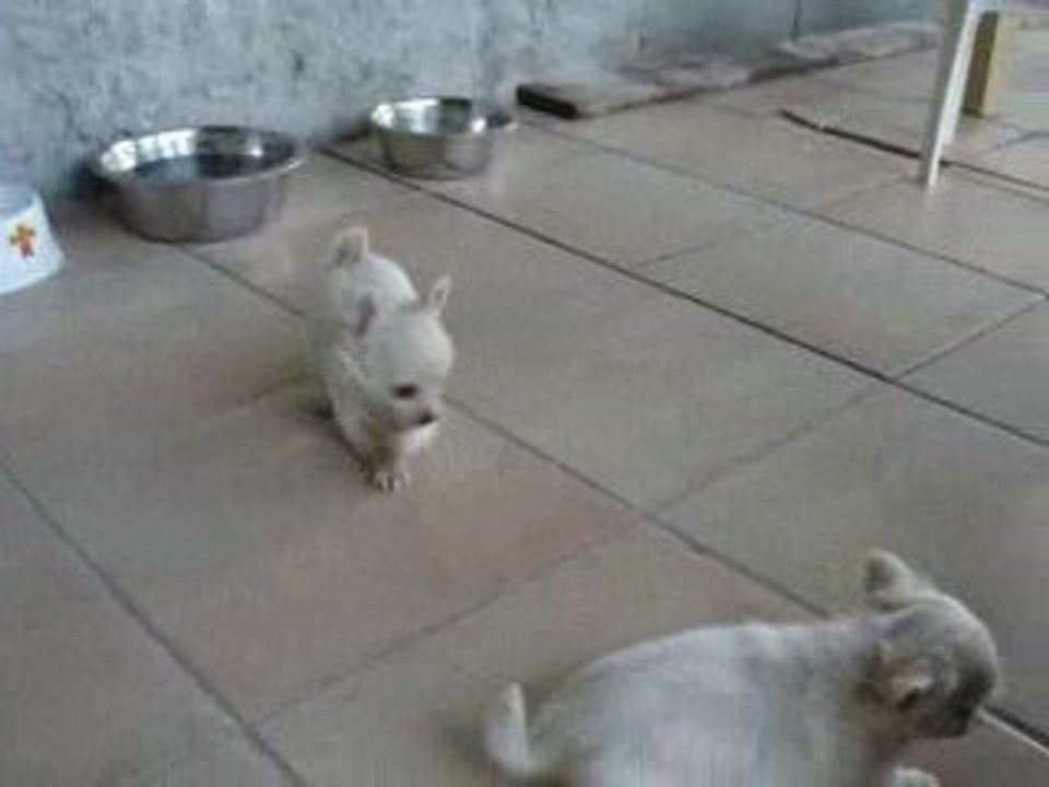 Julie et Elouna , Diva et les bébés