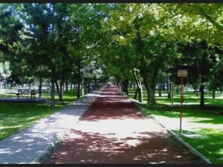 Kayseri Parklari ve Yemyesil Alanlari | 2009 Resimleri
