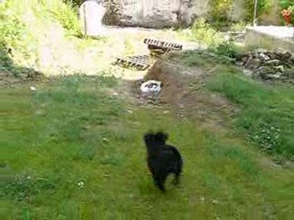 la-rencontre