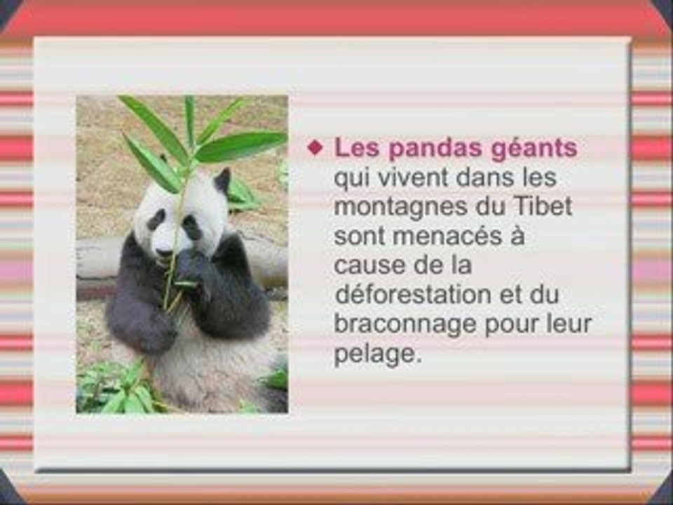 Exposé sur les animaux menacés