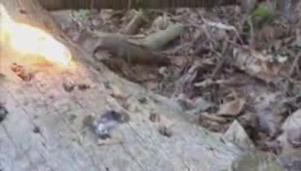 pyro partie 2