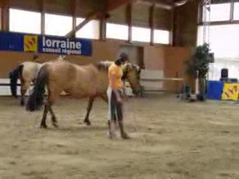 RDV etho de lorraine jeu du cerlce ne liberté ( demo )