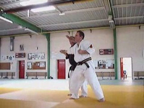 Nihon tai Jitsu - Tours 2009 - Max Lormeteau