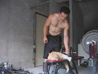 NFI curl marteau TEST