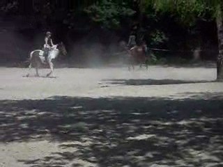 CHV cours dans la forestière
