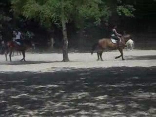 CHV cours dans la forestière