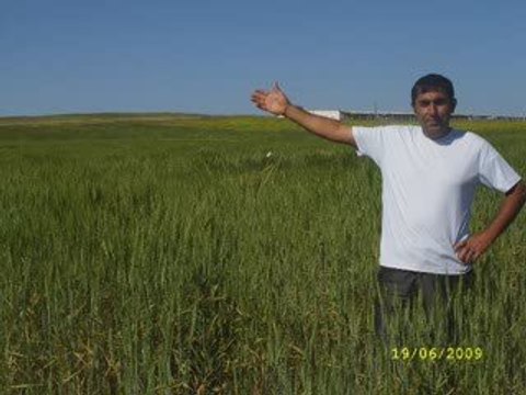 Ümit çifcibaşı Çakıllı köyü Nasıl çiftçilik yapılır