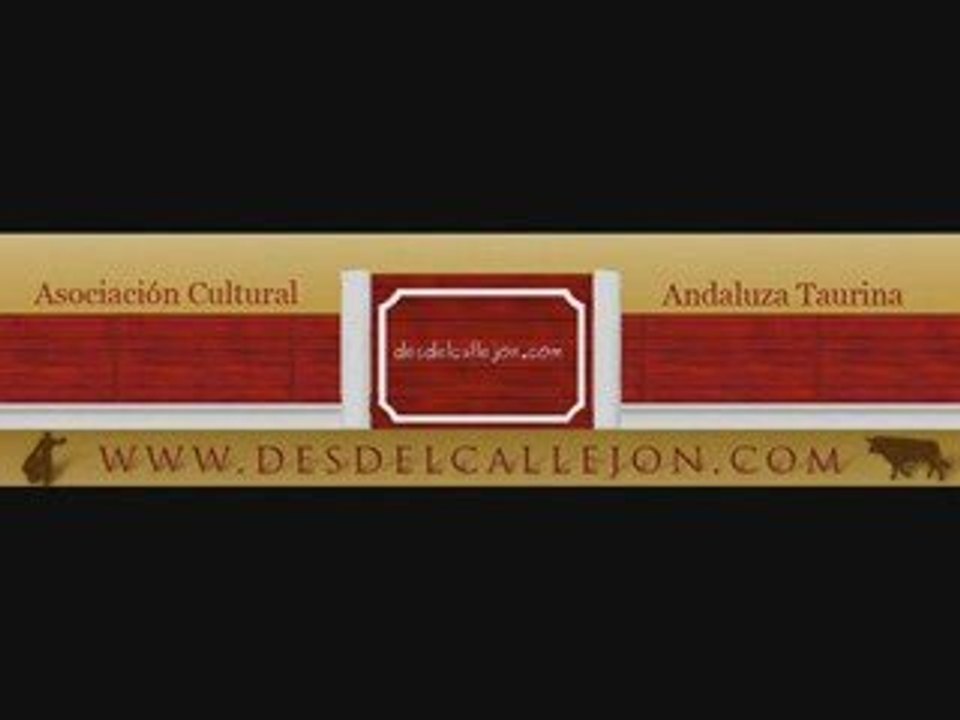 www.desdelcallejon.com