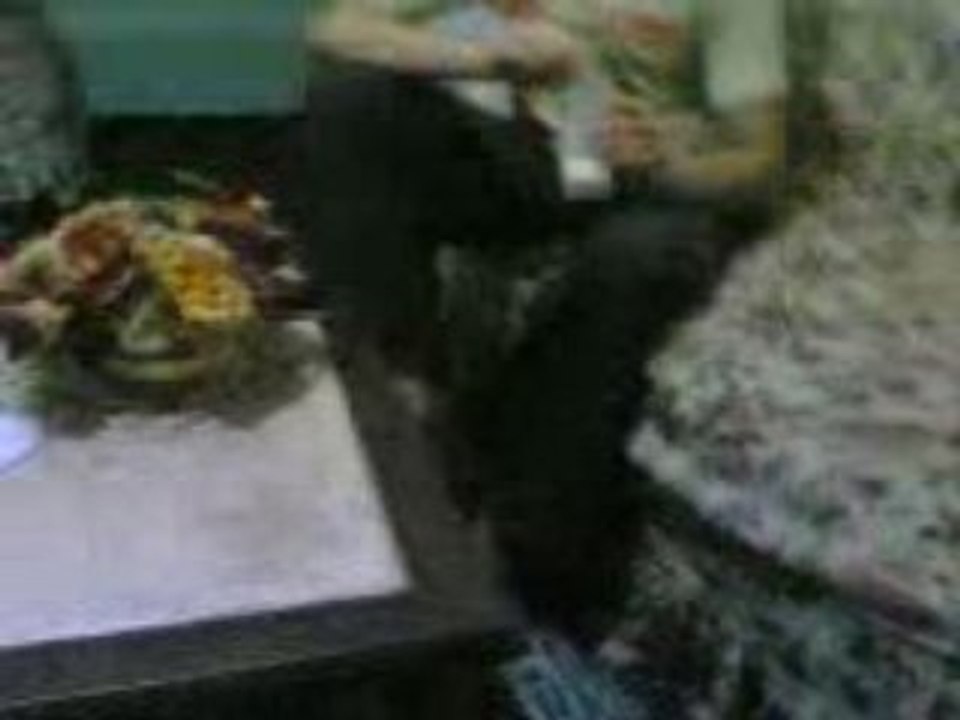 iam eatin icecream