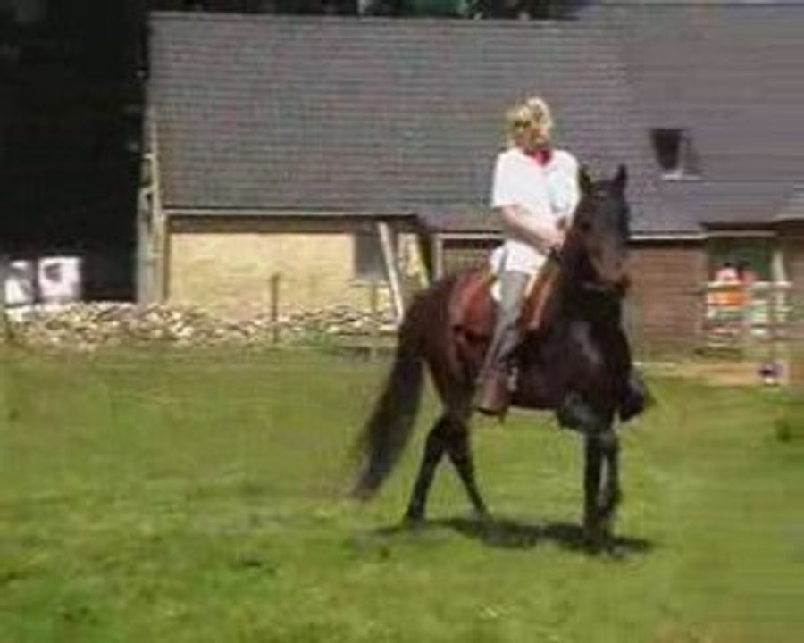 paco training