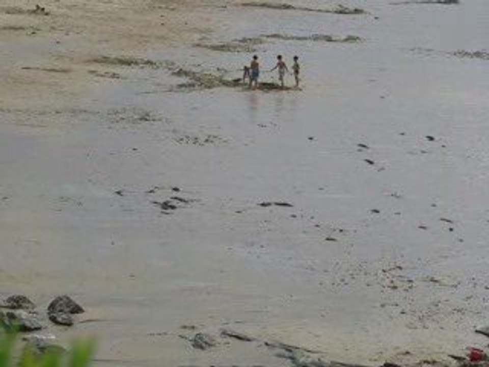 l'été est bien là, à la Fourberie