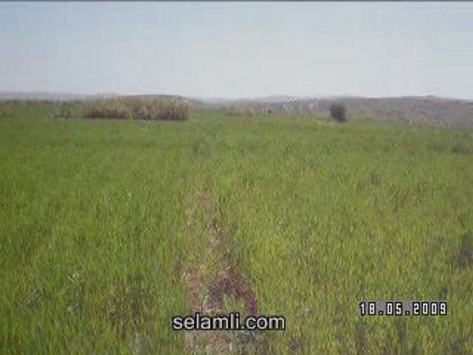 Selamlı 2009
