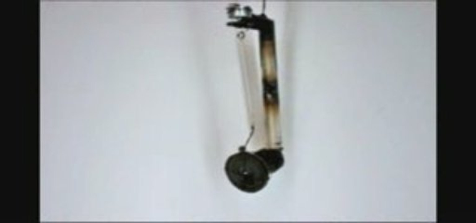 Volatiles 3