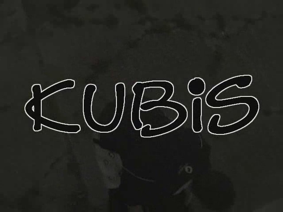 VBT 09 - Vorrunde - KuBiS