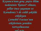 Kazım Koyuncu  -  Avalaski