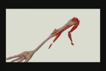 Bumble and RomZ -- Webzine