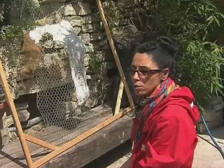 Malika Cherafa, une artiste à part (Loches-sur-Ource)