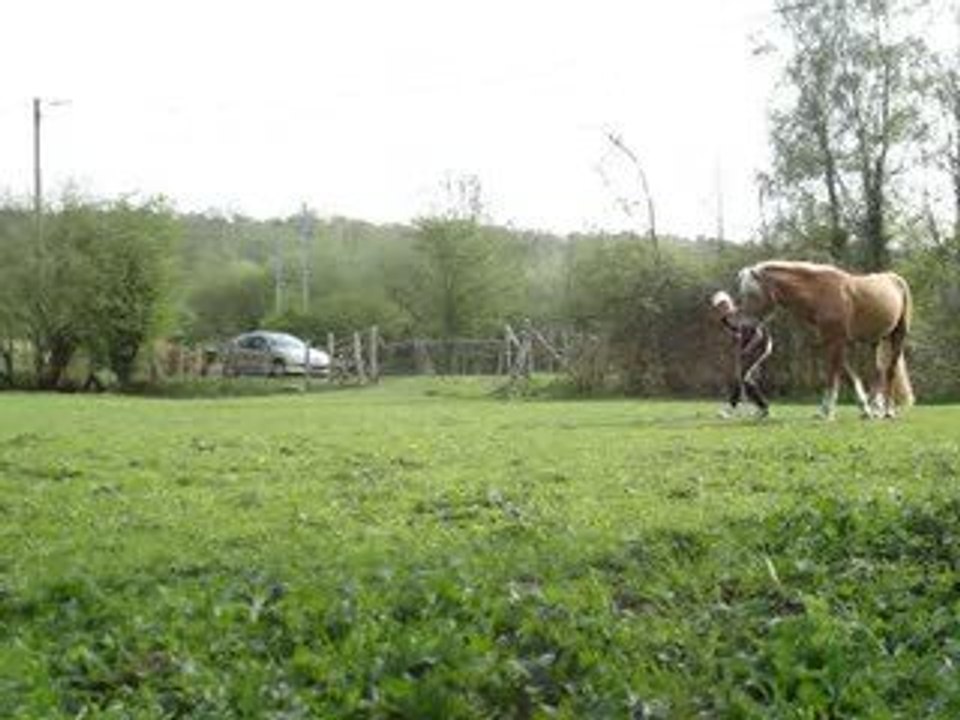 Jazz et moi au boulot
