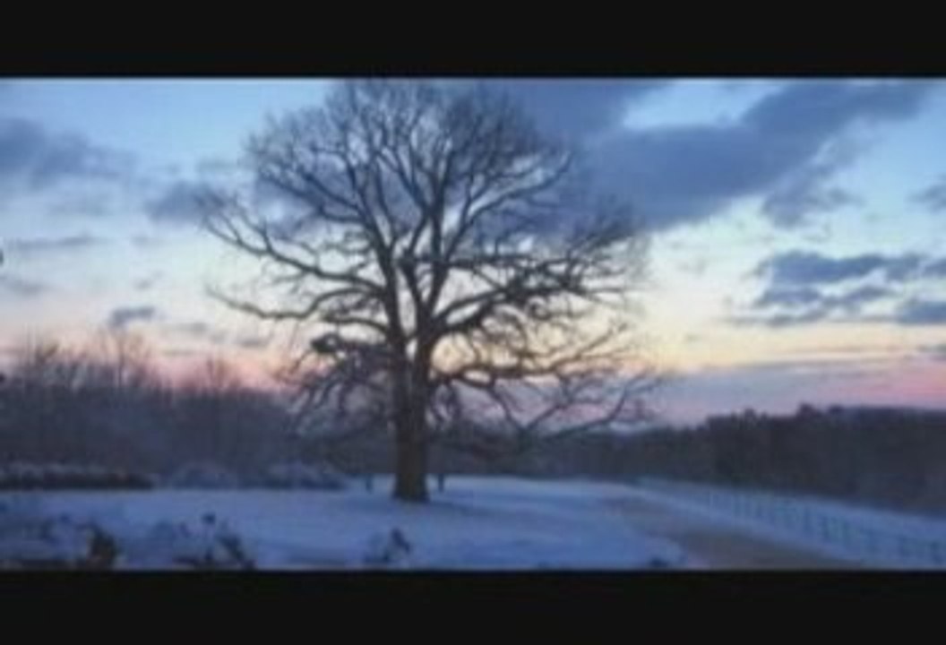 Daim Yusuf Orti (Sonbahar Film Müziği) - Ayşegül Kolivar