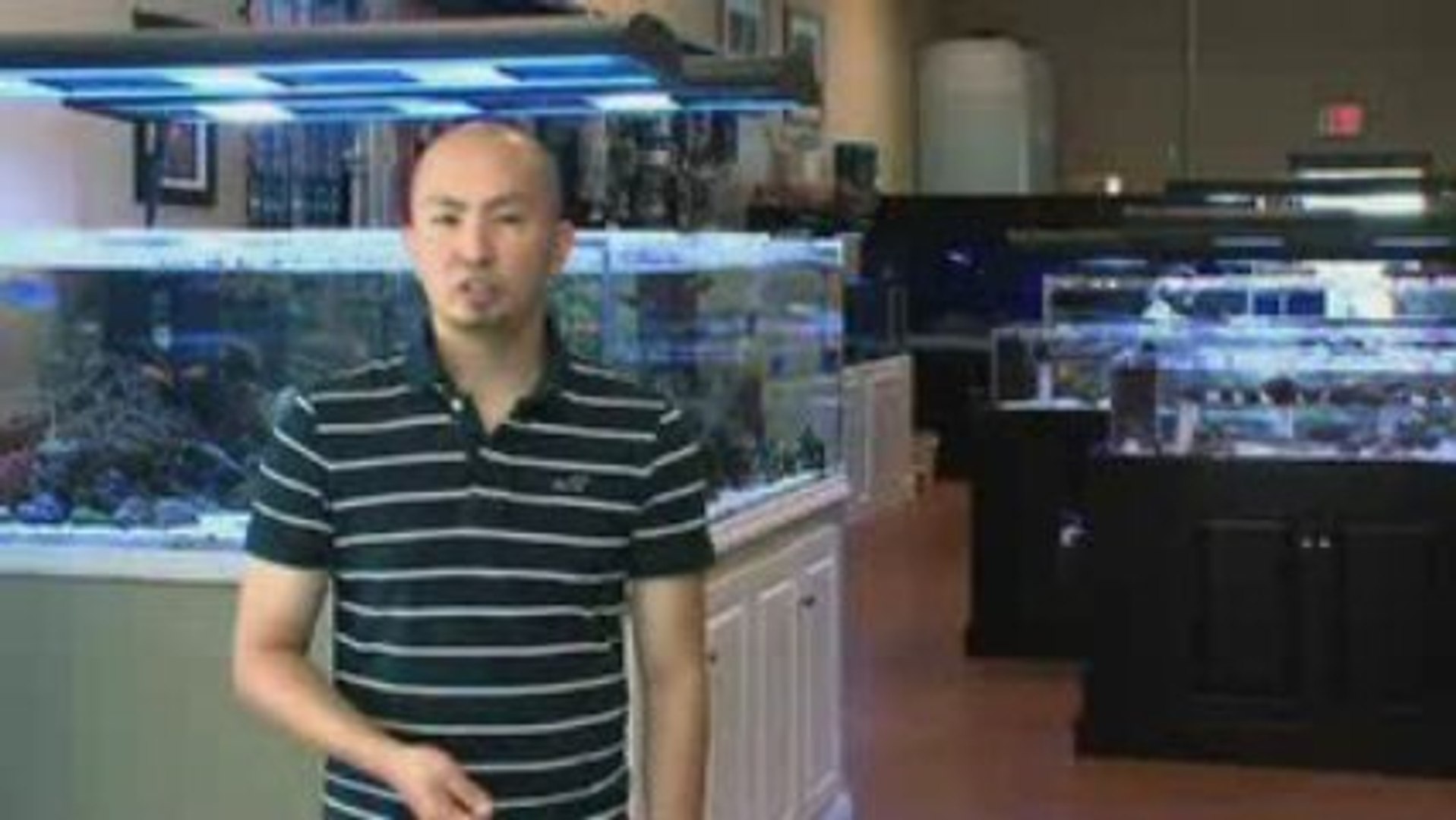 ⁣Salt Water Aquariums | Custom Saltwater Fish Aquariums
