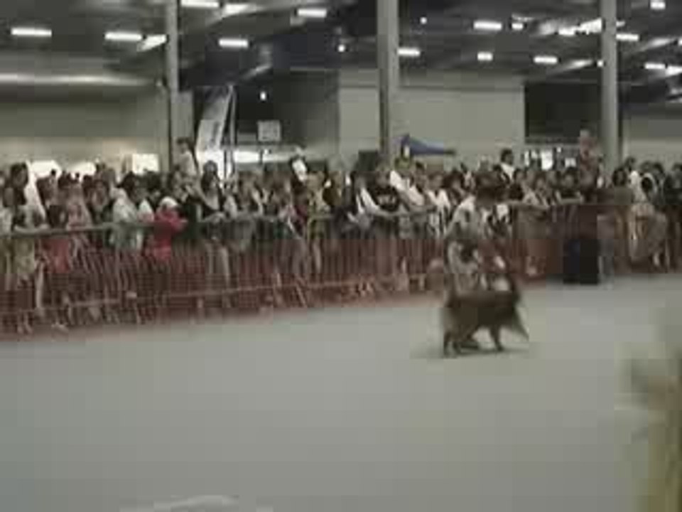 obérythmée Besançon arrivée sur le ring