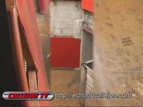 débarquement des toros à Saint-Sever