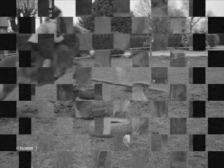 Bijou, un poney formidable