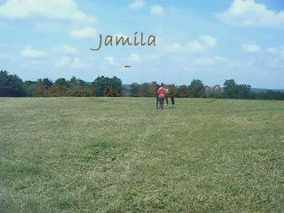 Jam - 25/06/09