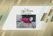 Nancys Dog Paws Boutique - Custom Dog Apparel and More!