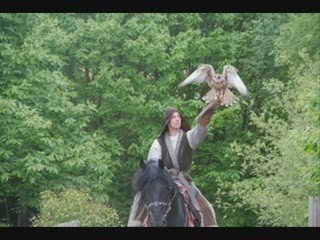 Alo Moises - Haroldo Oliveira