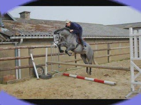shamrock du neuf clos, premiers sauts avec moi