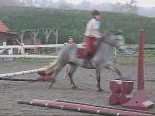shamrock du neuf clos, premiers saut avec moi